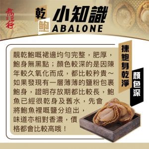 Apr abalone 3