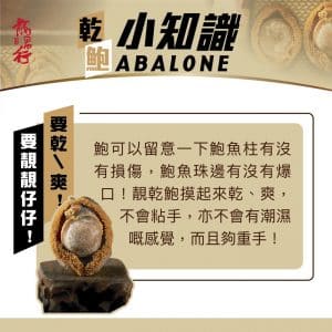 Apr abalone 4